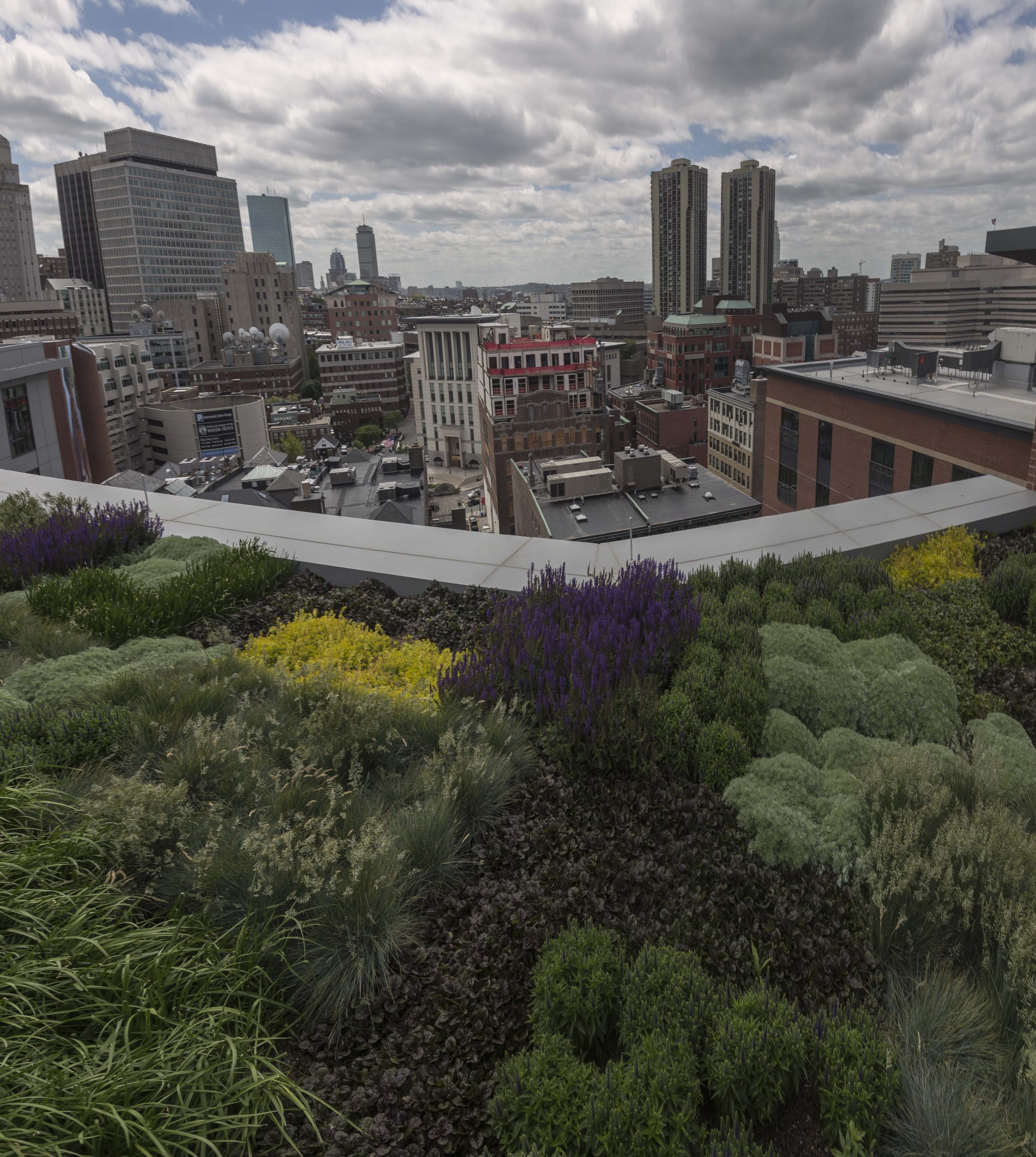 City overlook from a terrace garden on Canal Street.