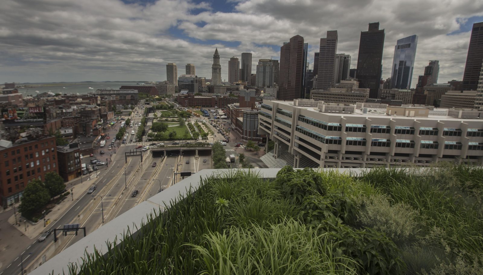 City overlook from a small corner of a terrace garden on Canal Street.