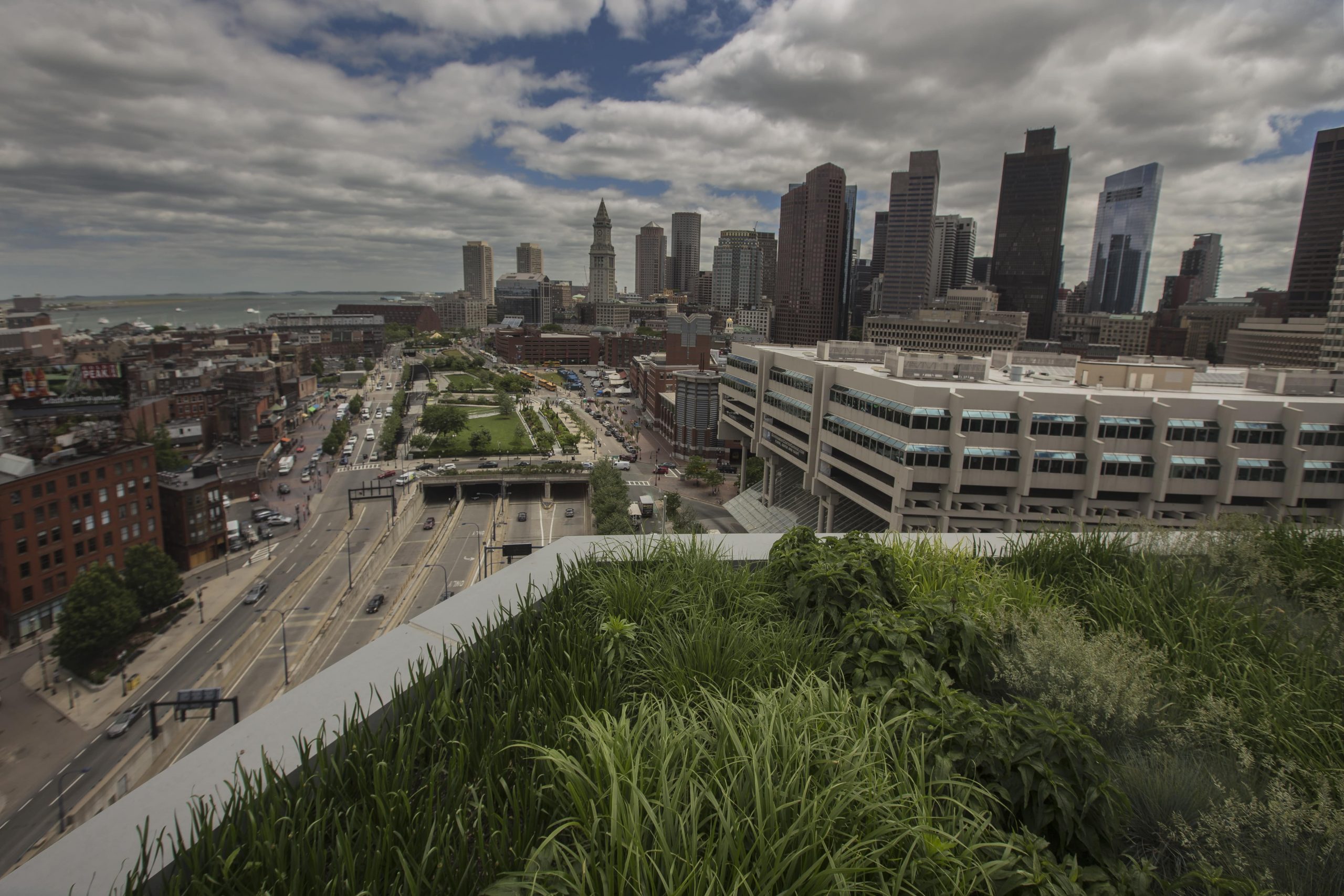 City overlook from a small corner of a terrace garden on Canal Street.