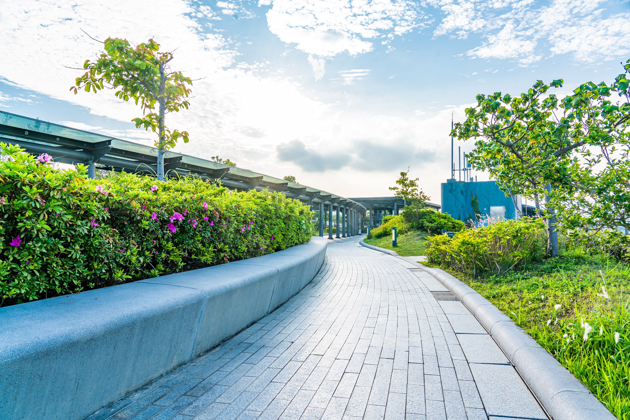 Walking path surrounded by flowers, other plants and trees.