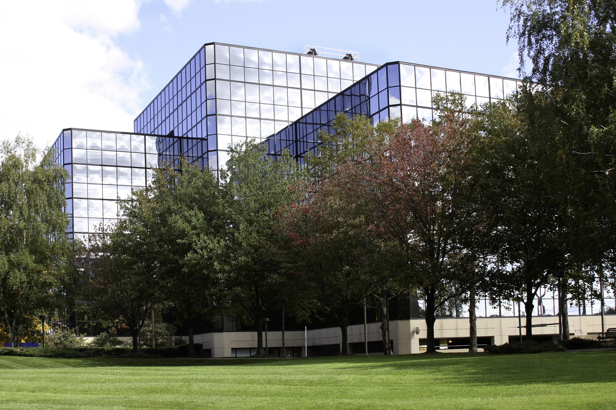 A freshly cut yard directly outside a corporate office.