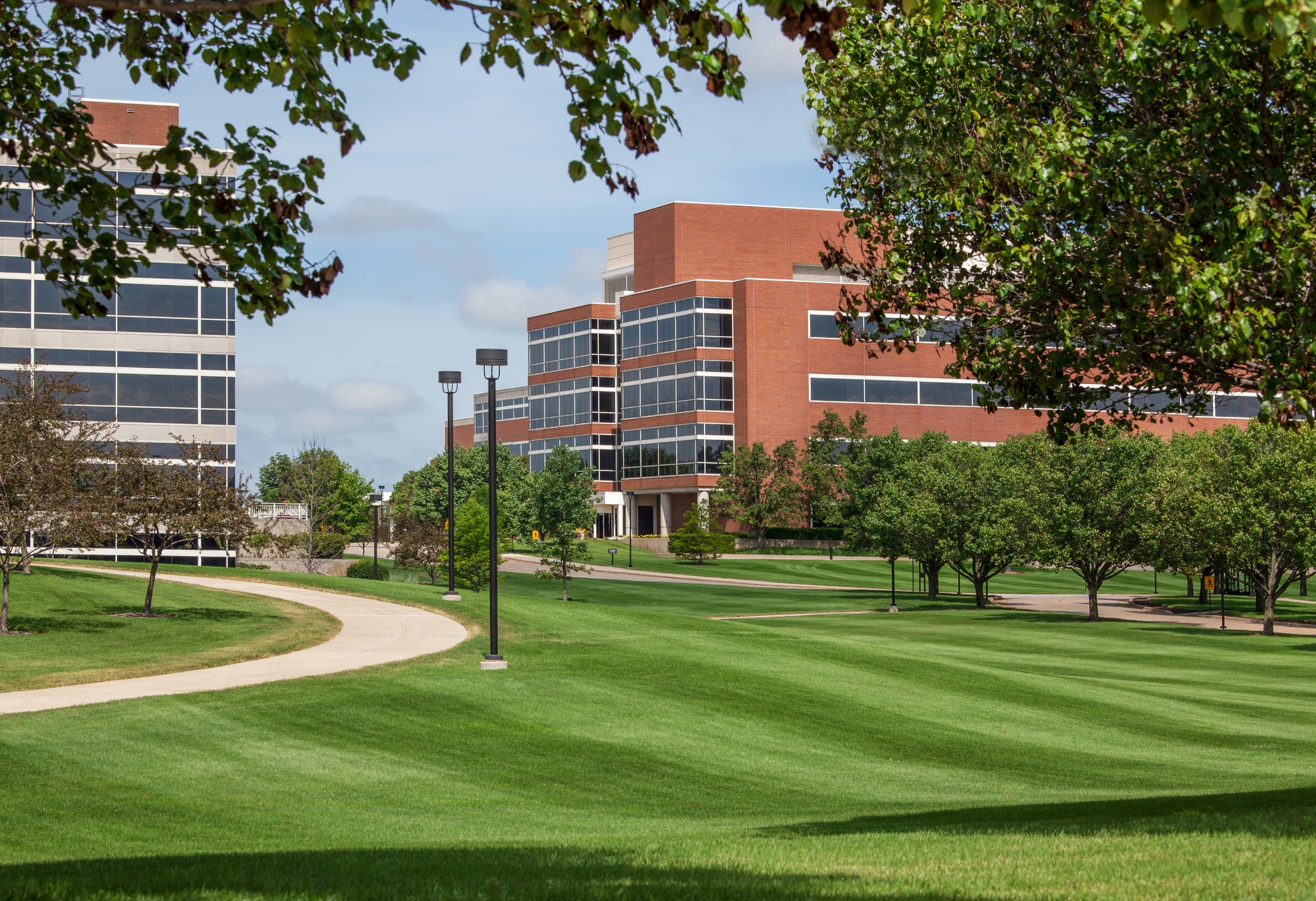 Example of a fully landscaped campus with trees and many walking paths.