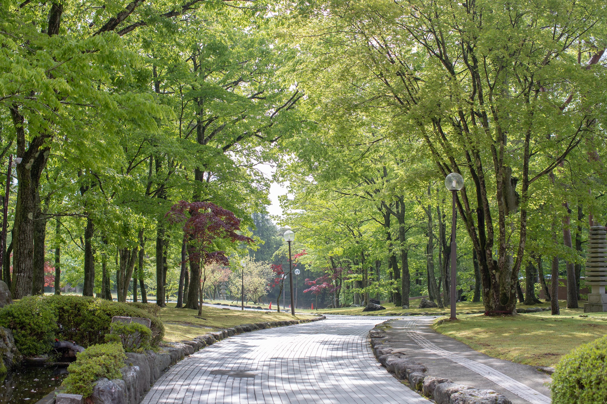 Landscape work done at a Public Park.