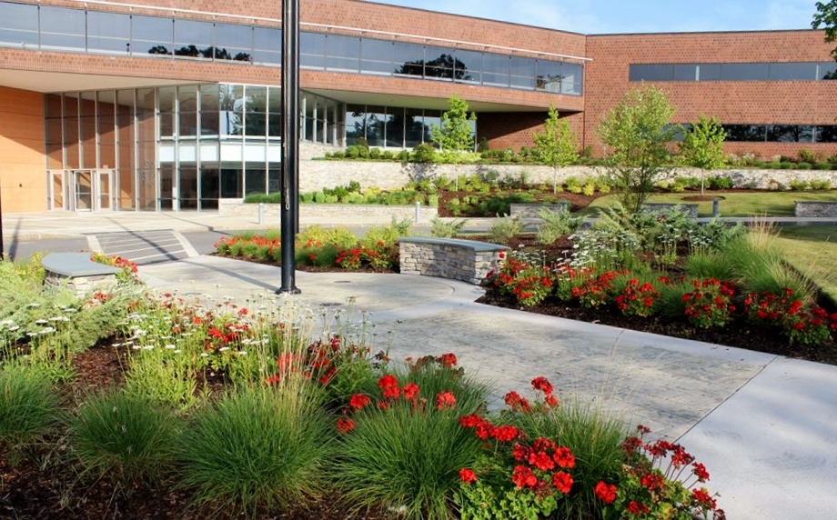 Corporate Walkway With Red Flowers