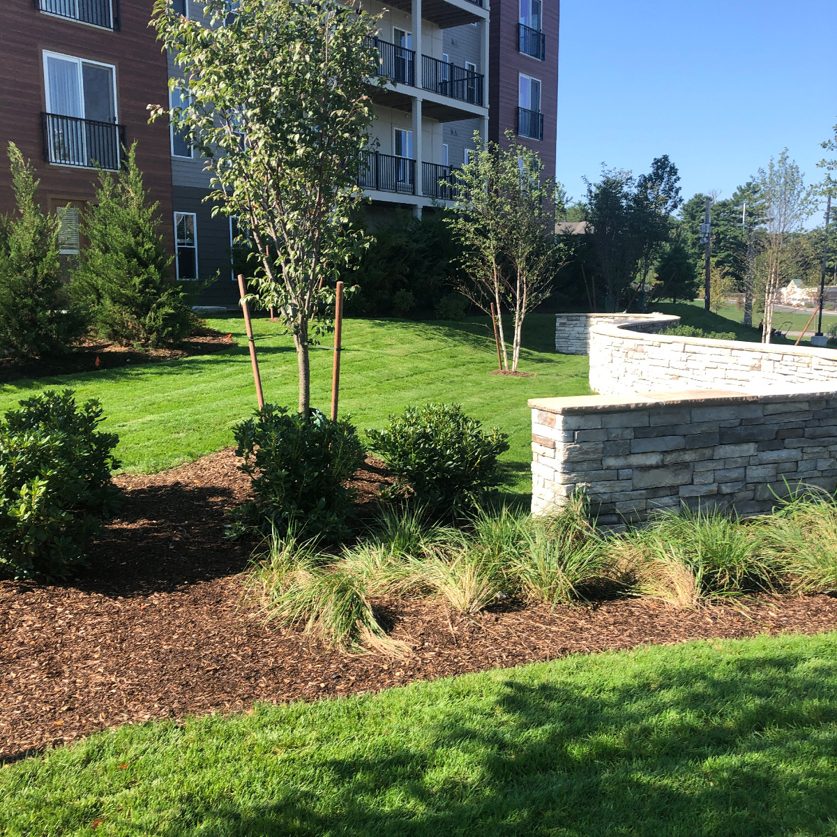 Commercial Landscape and Hardscape