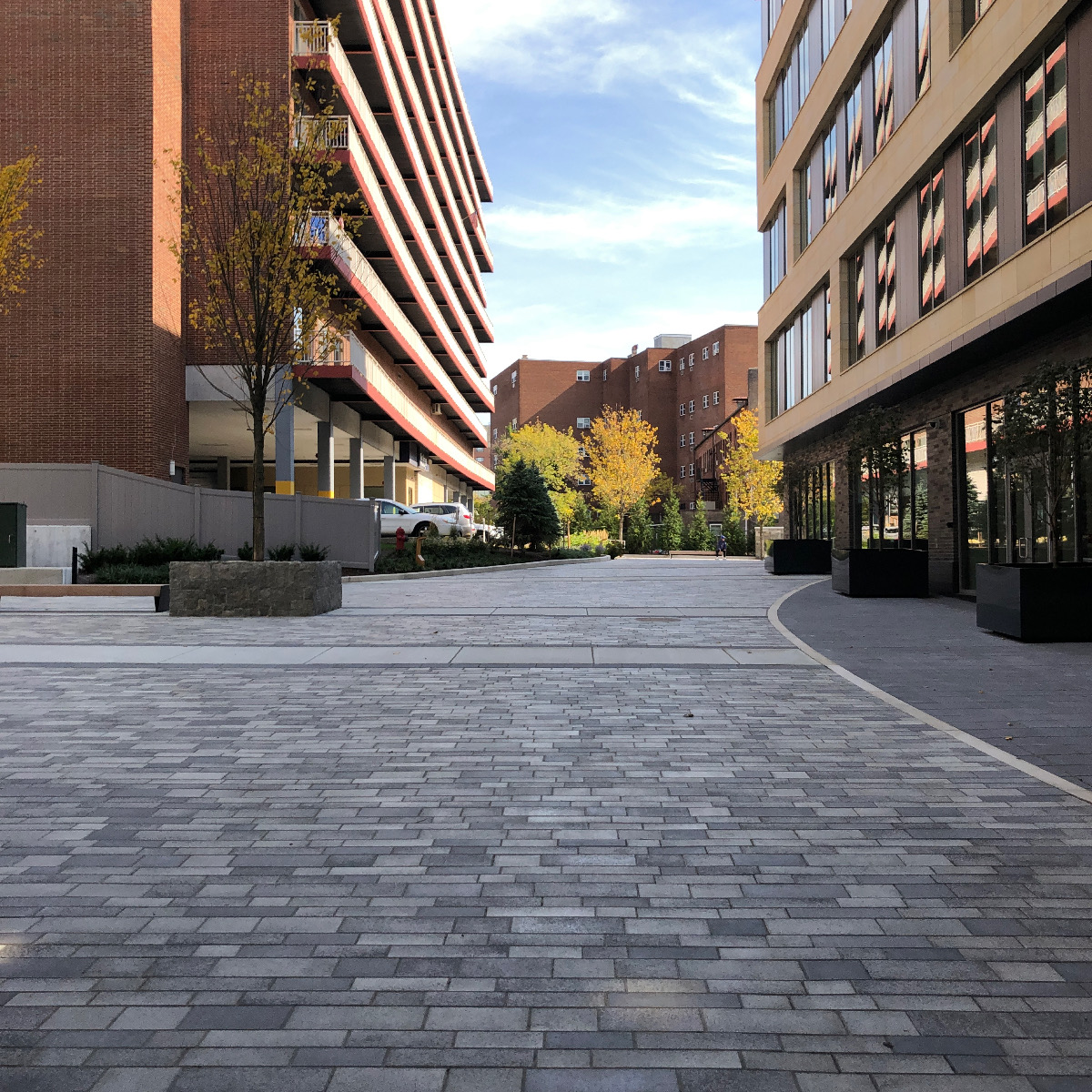 Urban Walkway in the Fall