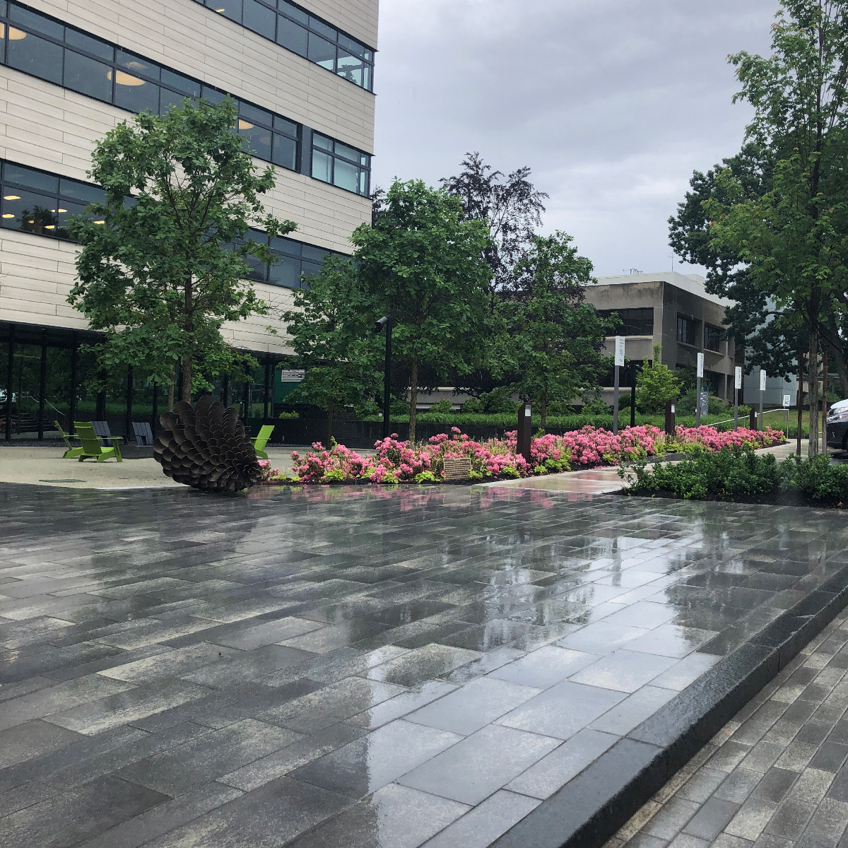 Corporate Landscaping After the Rain