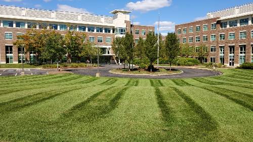 Commercial Property Landscaping