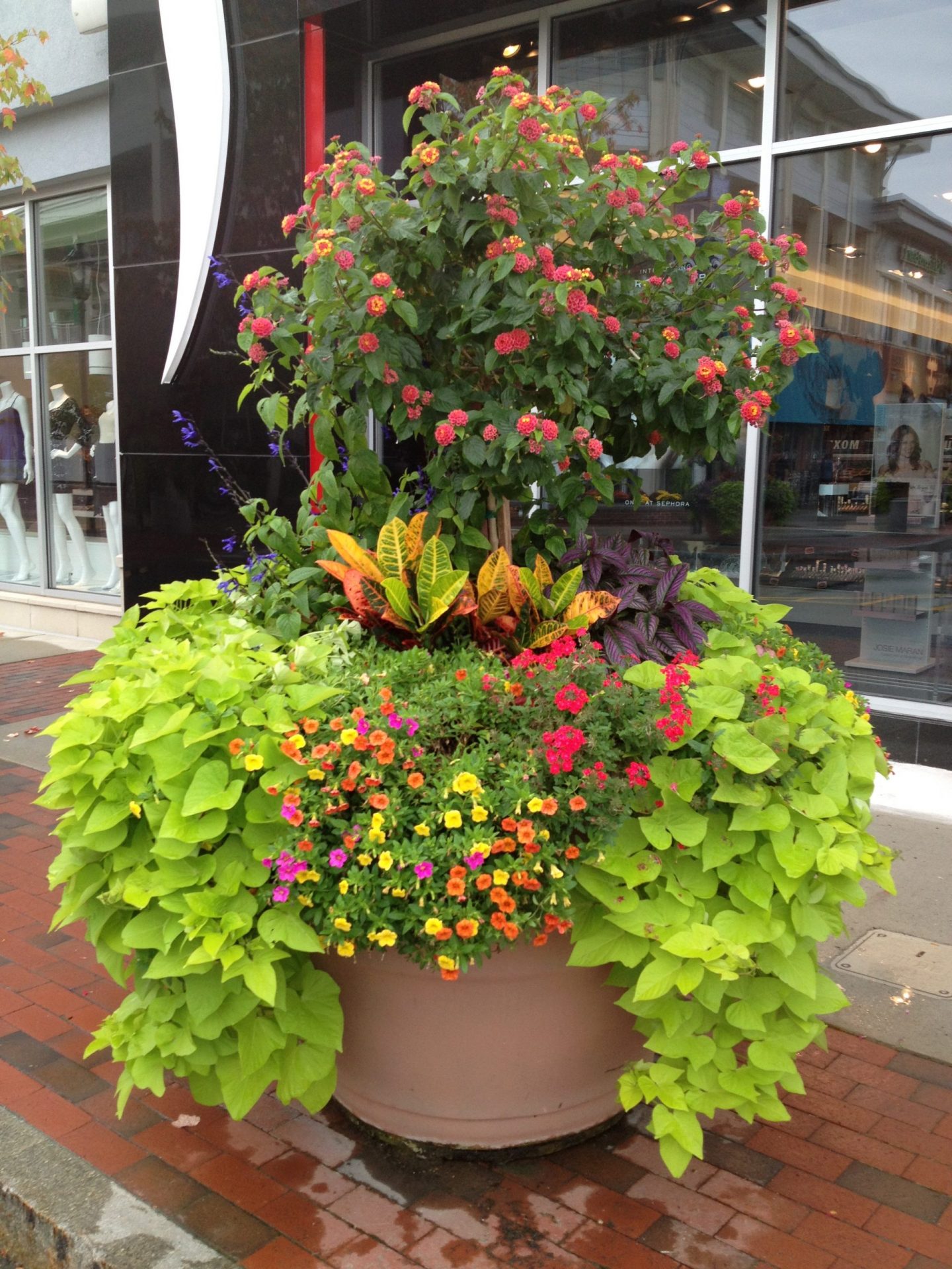 Colorful Flower Pot Enhancement