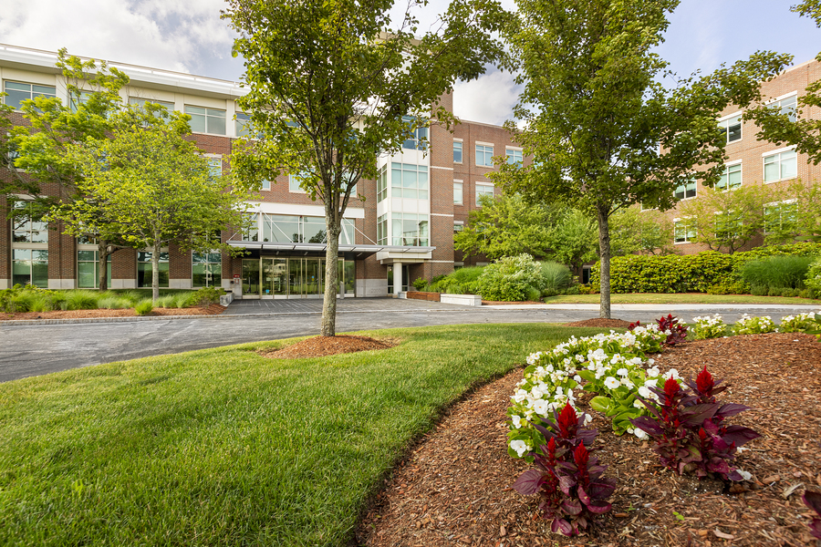 Garden Flower Display for Commercial Properties