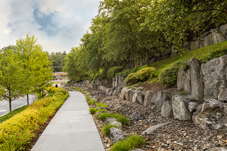 Sidewalk Landscaping for Apartments & Condos