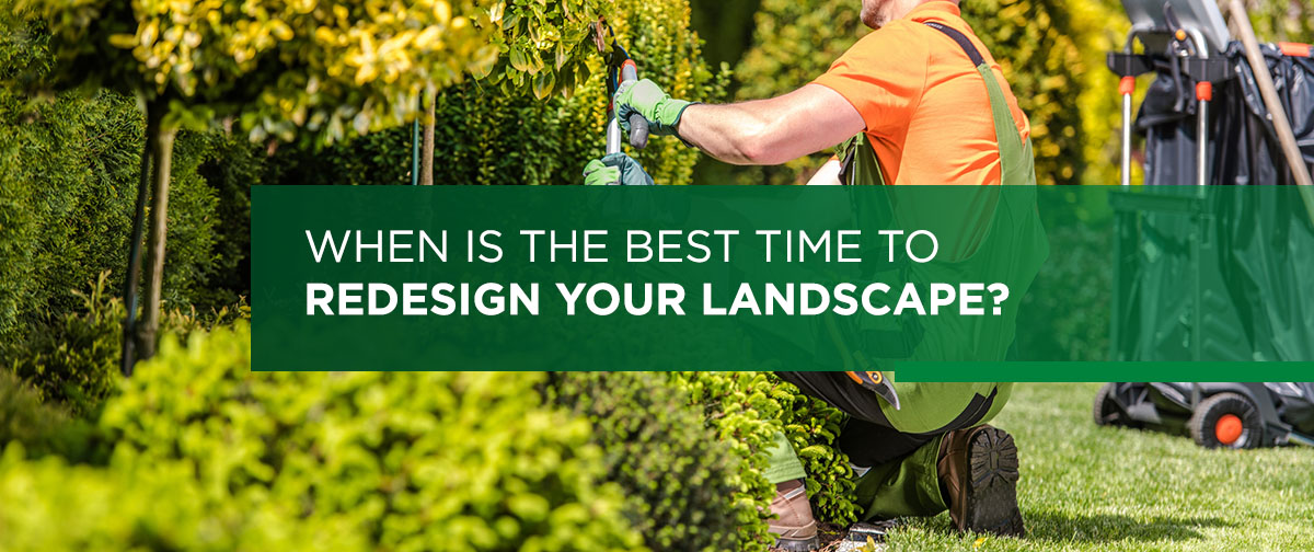 When Is the Best Time to Redesign Your Landscape?