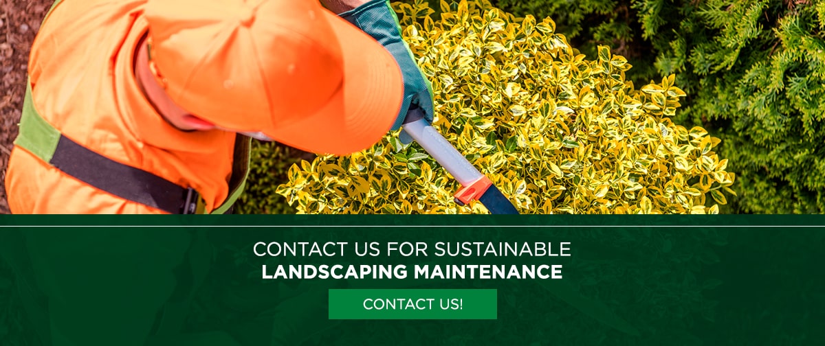Contact Us For Sustainable Landscaping Maintenance
