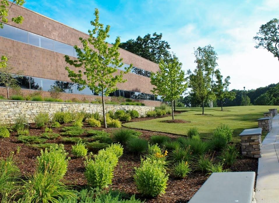 Greenscape Landscaping Outside of Office